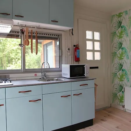 Cozy Holiday Home In Loosdrecht Near Lake *